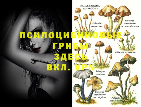 прущая мука Кострома