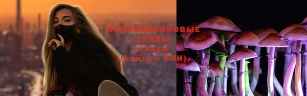 ПСИЛОЦИБИНОВЫЕ ГРИБЫ Волосово