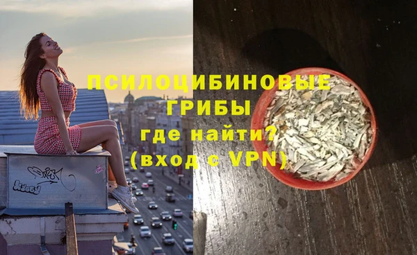 а пвп мука Верхний Тагил