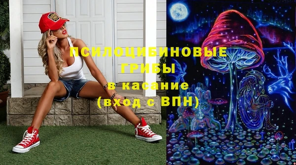 а пвп мука Верхний Тагил
