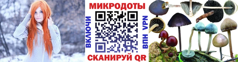 blacksprut ТОР маркетплейс состав Галлюциногенные грибы Magic Shrooms где купить наркоту Вытегра